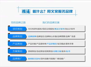 創(chuàng)業(yè)融資實務(wù)指南 從商業(yè)計劃書到項目落地
